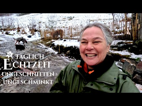 Echtzeit 🐴 Ich muss da was ändern ... & Morgenroutine Pferde | TV Serie, wahres Leben