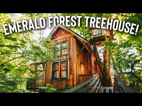Tiny House w/ a ZIP-LINE! | Emerald Forest Treehouse Full Tour! 📍WA