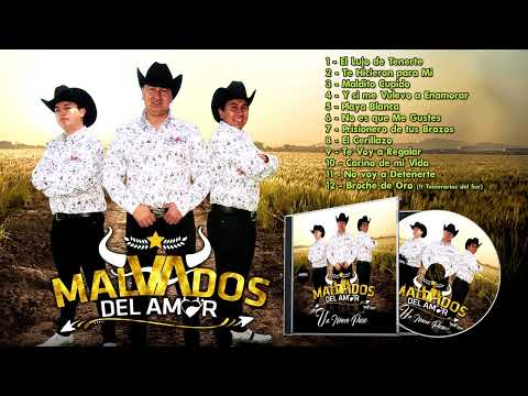 MALVADOS DEL AMOR - NO ES QUE ME GUSTES