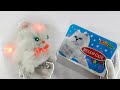 Very Beautiful And Realastic Mini Cat Battery Operated Cat Unboxing
