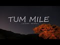 Tum Mile SLOWED REVERB