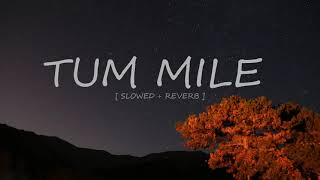 Tum Mile   SLOWED + REVERB 