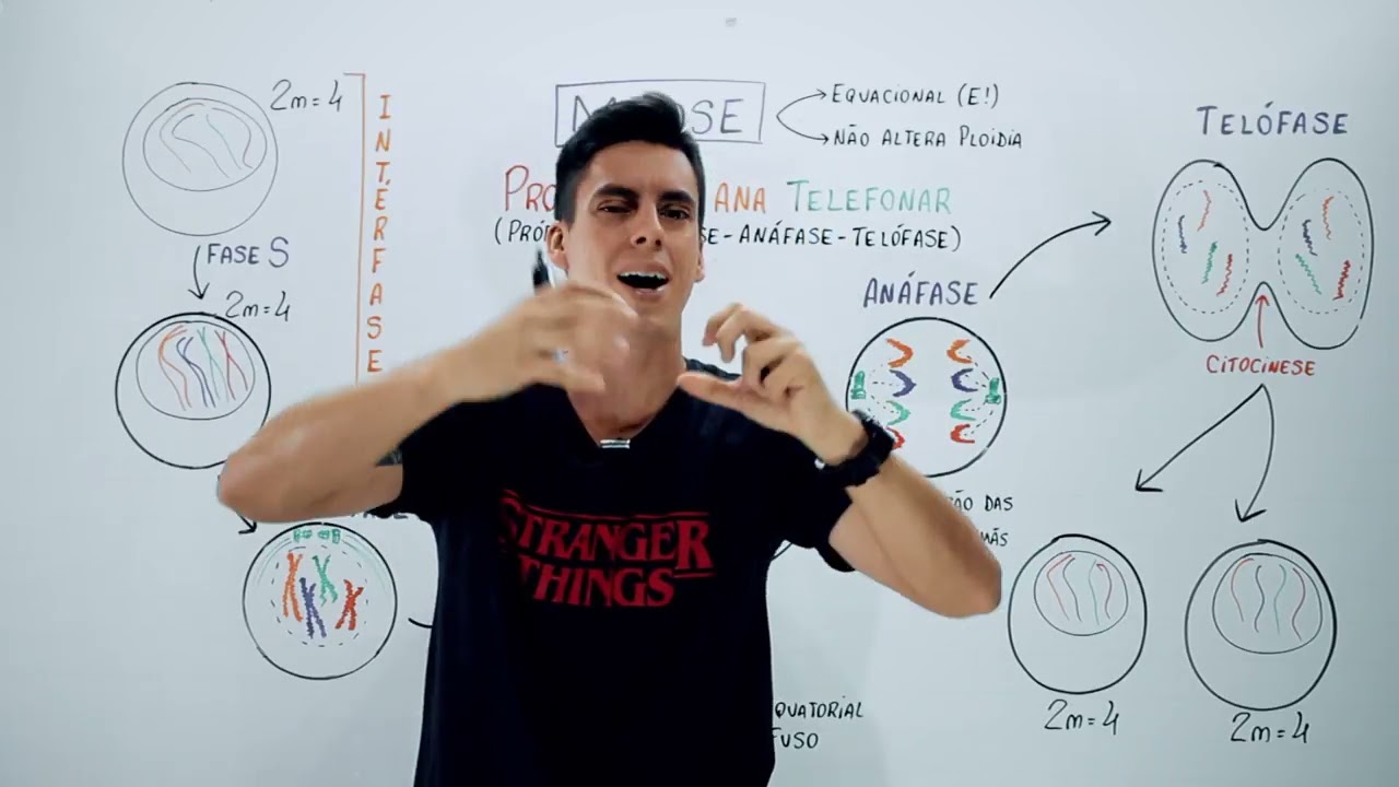 Mitose - Divisão celular | Me Gusta Bio com Gustavo Schmidt