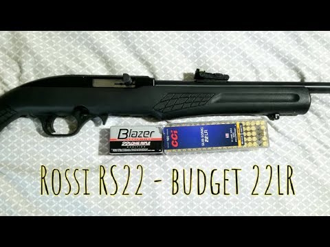 Rossi RS22 and CCI subsonic .22LR