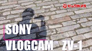 �T���v������