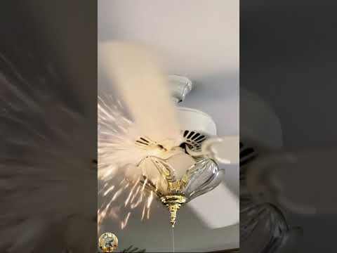 The Falling Ceiling Fan!  #159