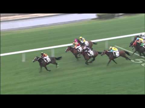 Royal Elegance - Karis Teetan (13 March)