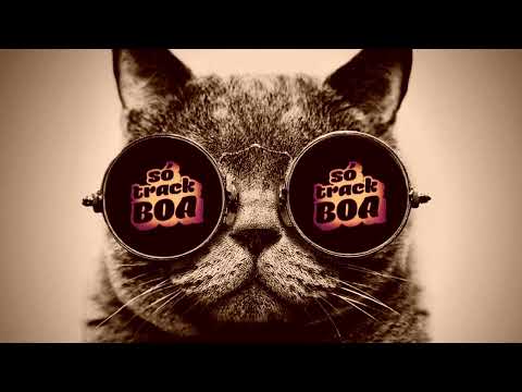 MÚSICA ELETRÔNICA 2022 🔥SÓ TRACK BOA🔥MÚSICA DE TREINO MAIS TOCADAS - #Alok #Tiesto #VintageCulture