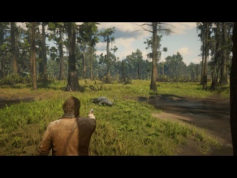 what happened if you try to hunt alligator in Red Dead Redemption 2  #reddeadredemtion2
