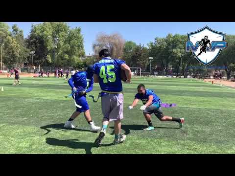 10 things you should NOT do at Tocho Bandera.