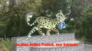 preview picture of video 'Korangi Mada Forest Kakinada Andhra pradesh || Coringa Natural senctuary'