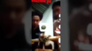 Download lagu jelangkung jelangkung posisi mu😂😂😂 mp3