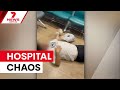 Chaos At Westmead Hospital Emergency Department 7NEWS