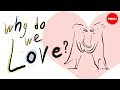 Why do we love? A philosophical inquiry - Skye C. Cleary