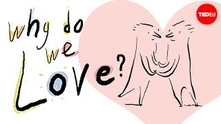 Why do we love? A philosophical inquiry – Skye C. Cleary