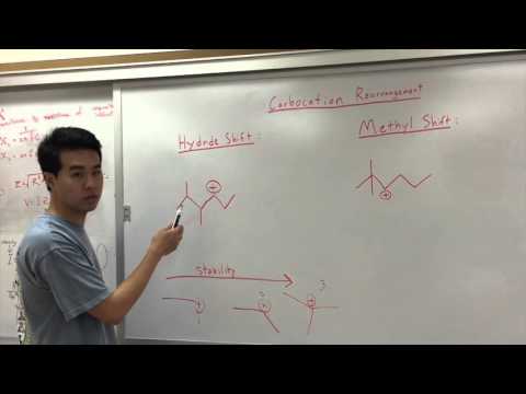 Methyl and Hydride Shifts