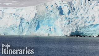 Witnessing a Major Glacier Collapse in Antarctica | The Dodo