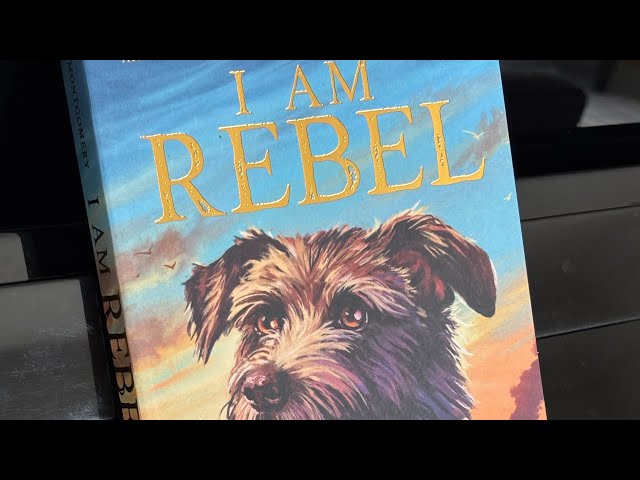 Vídeo relacionado con I Am Rebel: The award-winning must-read animal adventure that's a global sensation