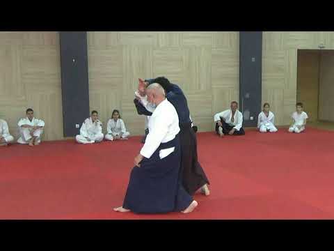 Manifestation  ,,Trophy of Belgrade, 2020,, Mirko Jovandić 7Dan Hombu.