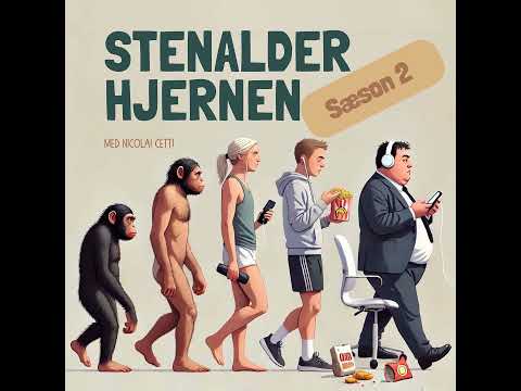 Snack uden sult? Sådan tæmmer du snacktrangen