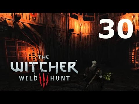 Witcher 3 Wild Hunt Walkthrough Gameplay Part 30 - Find Junior -  PS4