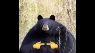 Cover art for PUT VOLUME AT MAX