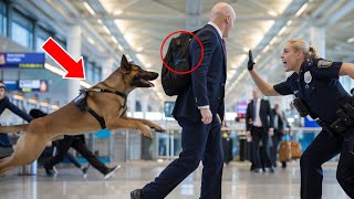 Cachorro Não Para de Farejar a Mochila de um Estranho. O que a Polícia Encontrou Dentro Foi Chocante