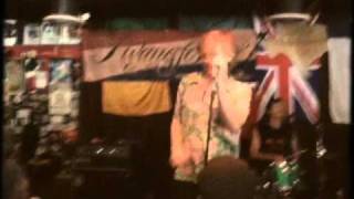 The Fleshtones - Remember The Ramones