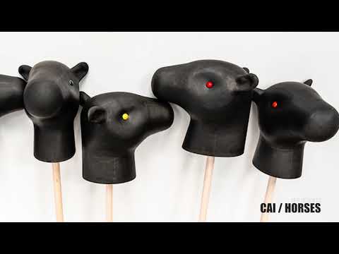 Florin Alexandru Magda/ cer deschis