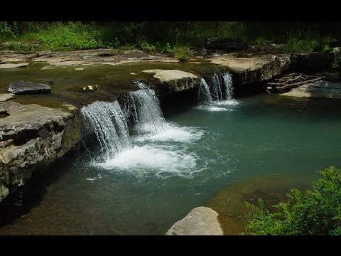 100% RELAX EN FORÊT | Cascade Rivière Oiseaux | Anti-Dépression Stress Anxiété | Sommeil Réparateur