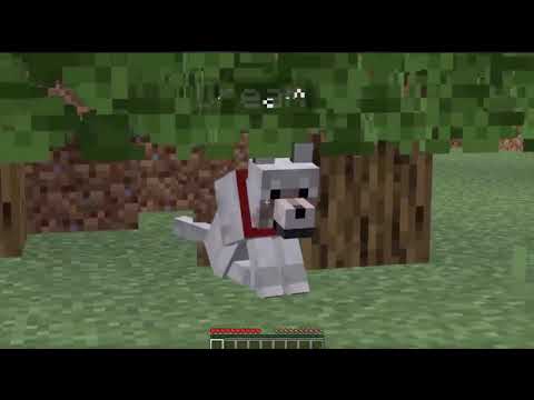 Dream The Dog Under A Log