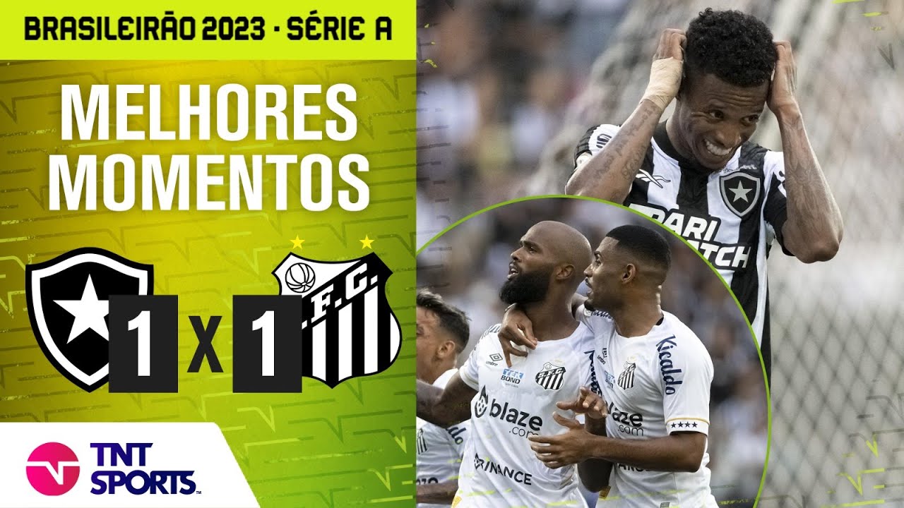 Botafogo vs Santos highlights