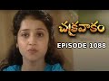 Episode 1088 Chakravakam Telugu Daily Serial Manjula Naidu Loud Speaker
