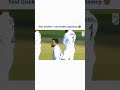 Virat Kohli Sledge South Africa In Stump Mic Shorts Viral Kingkohli Cricket
