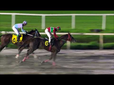 230526 c08 - DOG ALICANTE - HIPODROMO DE MAROÑAS