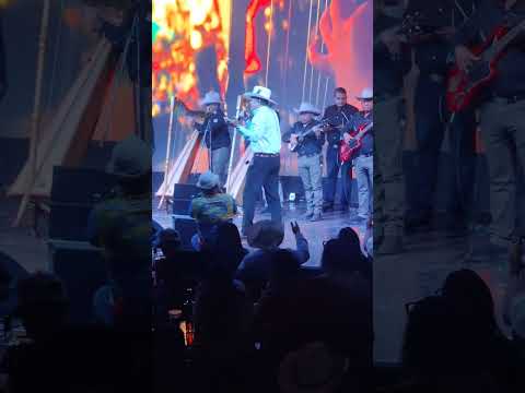 Al café y los caballos - Jorge Guerrero - En Tenerife - Palacio san miguel