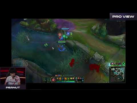 Peanut Lehends Facecheck Each Other