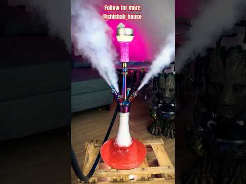 Shisha house and Pawan artist Agra 