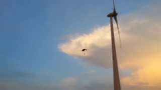 Sunset Wind Turbine BASE Jump