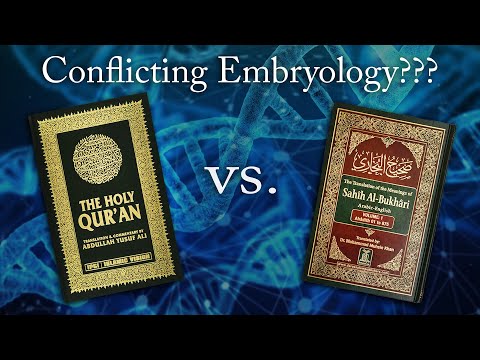 Conflicting Embryology in the Quran and Hadith?