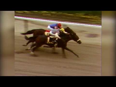 Andy and the Mig  -1984 Metropolitan Mile