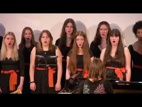 Bogoroditse djevo (A. Pärt): MeMlPZ Gimnazije Škofja Loka