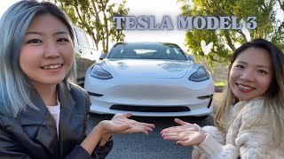 友達の車に乗せてもらいます【テスラモデル3】マリブドライブ