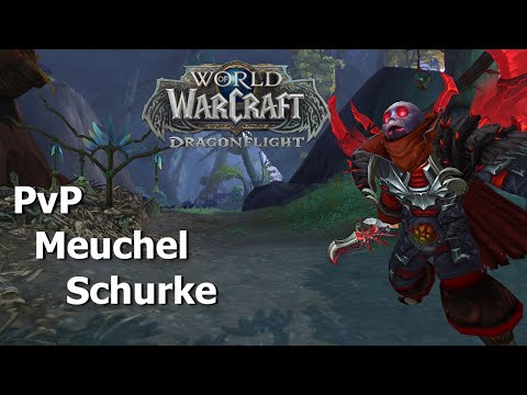 Let's Play WoW Dragonflight PvP Meuchel Schurke - Unterzahl