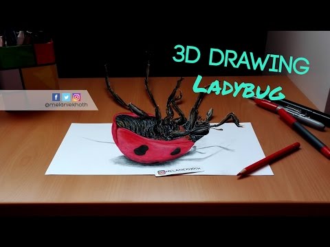 3D Ladybug drawing
