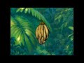 Tarzan Special Edition Set Top Game Terk S Tree Surfing Challenge 2 Banana Round Up