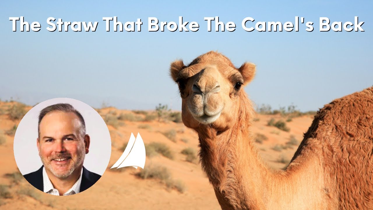 The Straw That Broke The Camel's Back