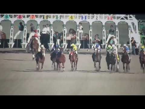 American Pharoah-Del Mar Futurity