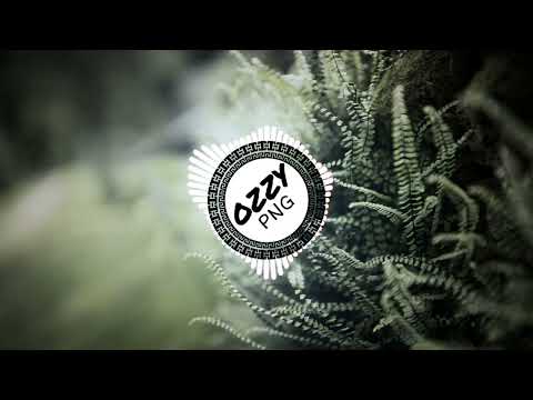 Meri Sepik (2023)-Boynorth x Hau'e Kings x Kayzee (Prod by Maiko & Eden Records) OZZYPNG