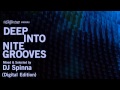 Deep Into Nite Grooves: Mixed & Selected by DJ Spinna (Continuous Mix)